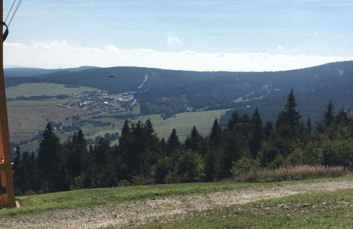 Fewo-Michi - Foto 12