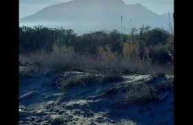 Location appartement les pieds dans l'eau, Résidence Aqua Linda à Poggio-Mezzana - Foto 62