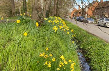 Kings Arms Annex - Foto 13