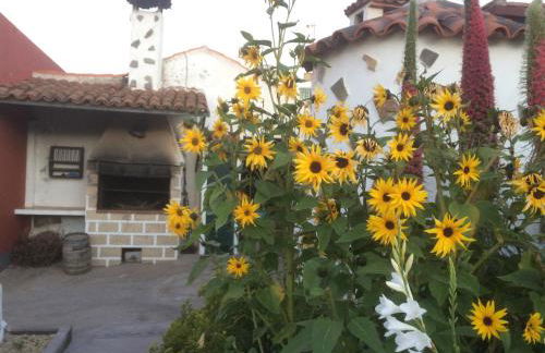 Casa Rural Finca Paraíso. Heated pool - Foto 16