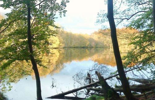 Holiday apartment in Parlow with parking - Foto 8