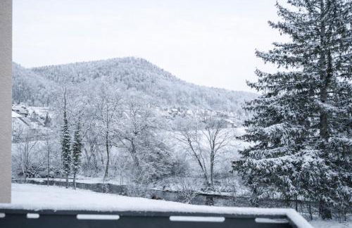 BPS Apartment #13 View - NEU - Natur - Deluxe - Modern - Foto 59