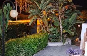 Il Gelsomino - Foto 21