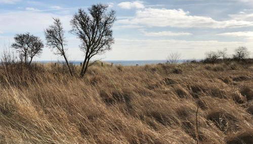Ferienwohnung Bogenstahl - Foto 4
