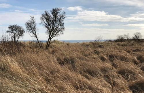 Ferienwohnung Bogenstahl - Foto 4