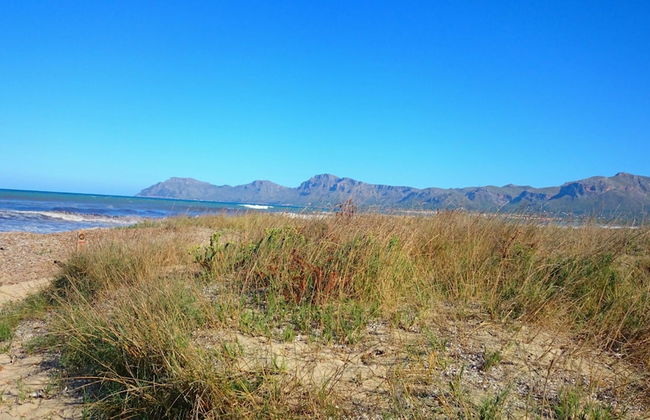 Sestanyol in Urbanitzaci s Estanyol - Photo 4