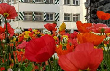 ADORIS FERIENWOHNUNGEN auf der Lindauer Insel - Foto 10