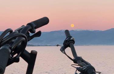 Anastasios Olive Garden Apartments - Foto 24