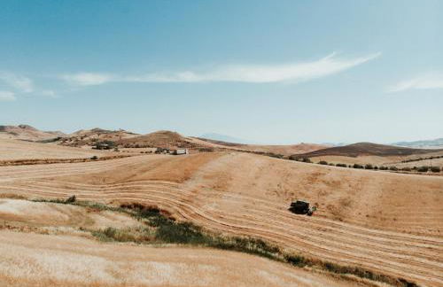 Leano Agriresort - Foto 47