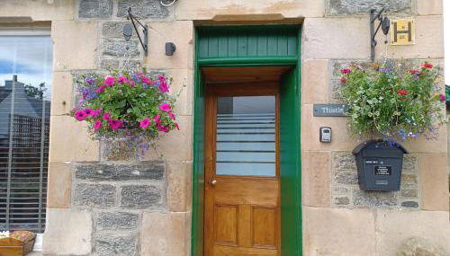 Craiglea Thistle - Foto 4