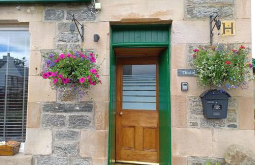 Craiglea Thistle - Foto 4