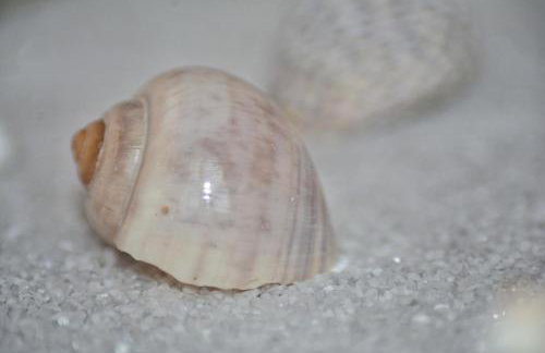 Apartment Nadoveza - Foto 49