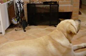 Casa in campagna oltrepo' pavese - Foto 9