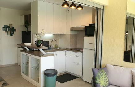 Garden and beach sea view apartment Cannes - Foto 7