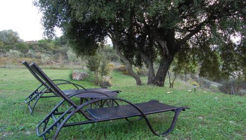 Blue Lagoon Villa - Foto 5, Garden