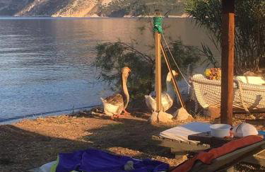 Villa Maria - Photo 38