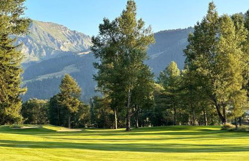 Chalet Mont d'Arbois Ski et Golf - Photo 70