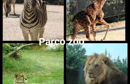 Sweet Home - Foto 17