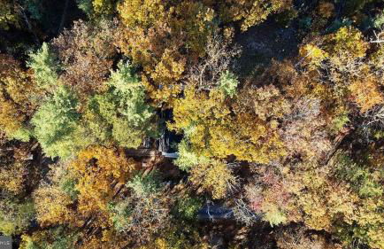 Shenandoah A-Frame with Mtn Views, near Bryce Resort - Foto 10