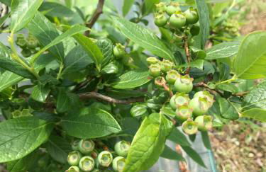 Agriturismo La Biandrina - Foto 95