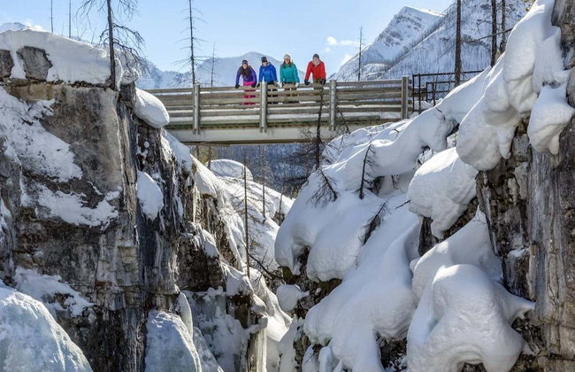 Paseo con raquetas de nieve por Banff - Foto 4