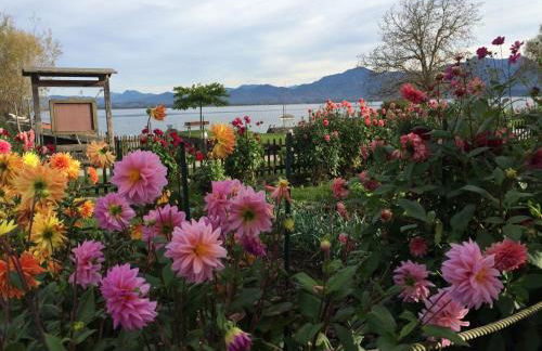 Genusszeit am Chiemsee - Photo 14