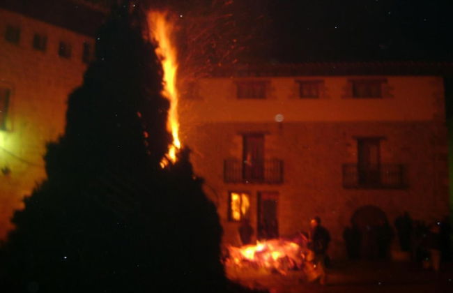 Alojamientos rurales Angelita - Foto 55