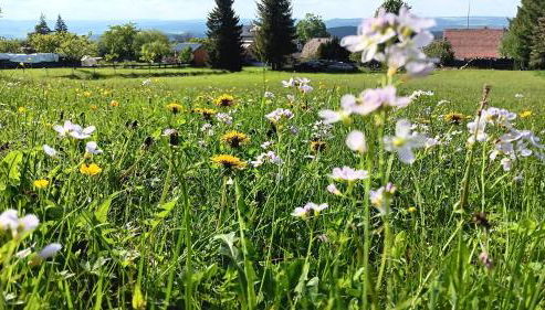 Ferienwohnung Saalfeld - Sommerfrische Burkersdorf - Foto 4