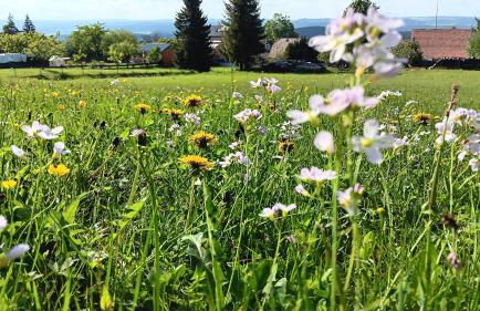 Ferienwohnung Saalfeld - Sommerfrische Burkersdorf - Foto 4