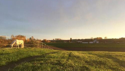 Ferienhof Löw - Foto 4