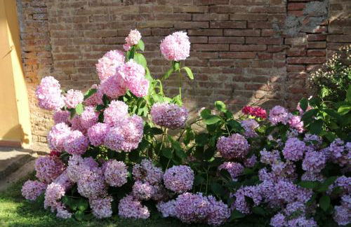 Poggio al Tesoro Crespina Pisa - Foto 28