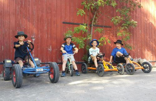 Ferienhof Neudeck - Foto 7