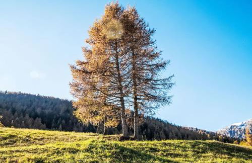 Chalet Baita al Compo by Interhome - Photo 10