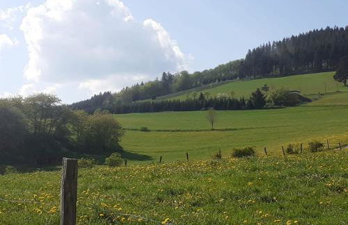 Ferienwohnungen Sternenhimmel WHG 1 - Foto 39