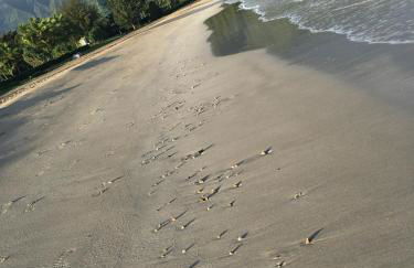 Puu Poa Ocean Bluff Condo, Incredible Views, Walk to Beaches, Pool & Tennis - Foto 37