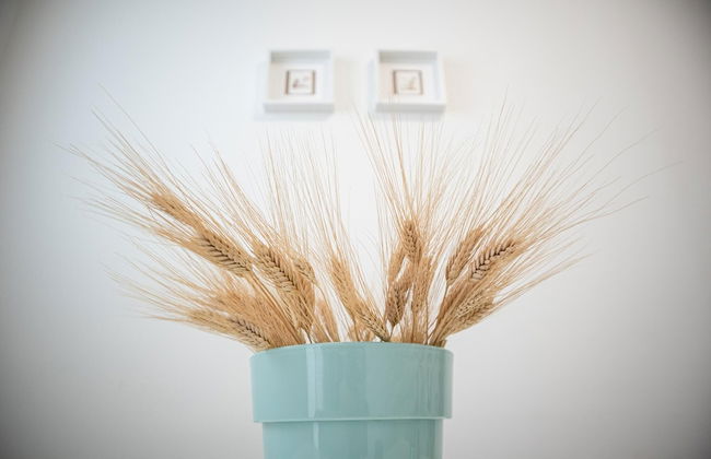 Passetto De Lectis in Ortona - Foto 18