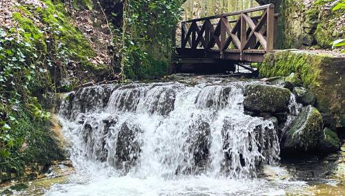 Ivy Cottage - Foto 2