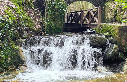 Ivy Cottage - Photo 2