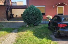 Elb- Havel Ferienhaus - Foto 31