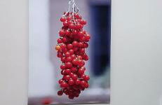 Casa vacanze "ALIZZA" - Foto 38