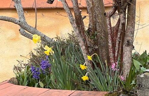 Blue Horizons Farm - Countryside Gîte - Pet Friendly - Sleeps 8 - Foto 56