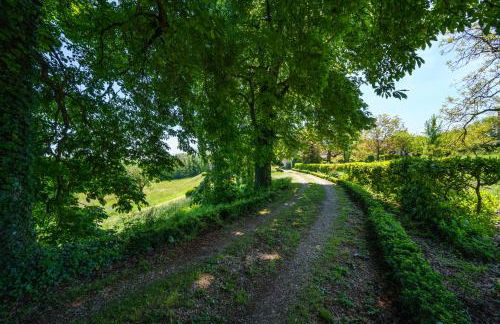 Le château La Villaine Magnifique château au cœur de la Touraine - Foto 48