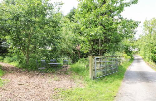 Pipistrelle - Foto 25