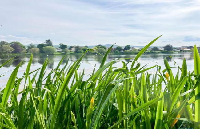 Cosy Holiday Home in the Harz Region - Foto 78