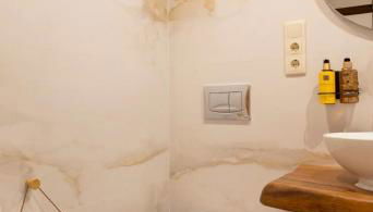 O Fogar da Pequena Galia - Foto 3