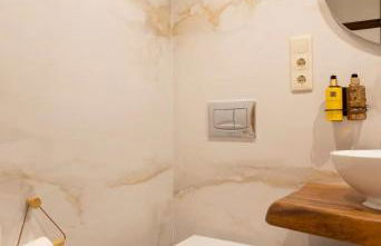 O Fogar da Pequena Galia - Foto 3