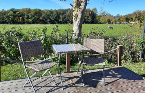 05 Premium Camping Pod - Foto 4