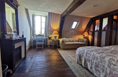 Chateau Chandler 17eme, Vallee de la Loire, Sologne, Centre Val de Loire - Foto 13