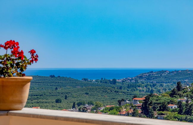 Olga's Filoxenia - Foto 48