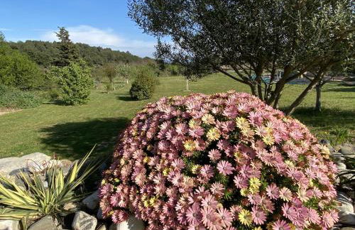 Tranquil Villa with Pool - Foto 22